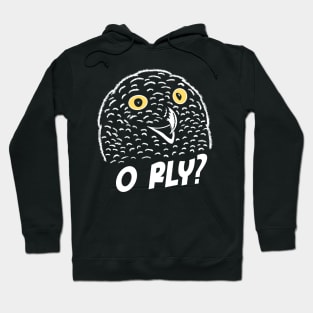 O RLY owl meme Hoodie